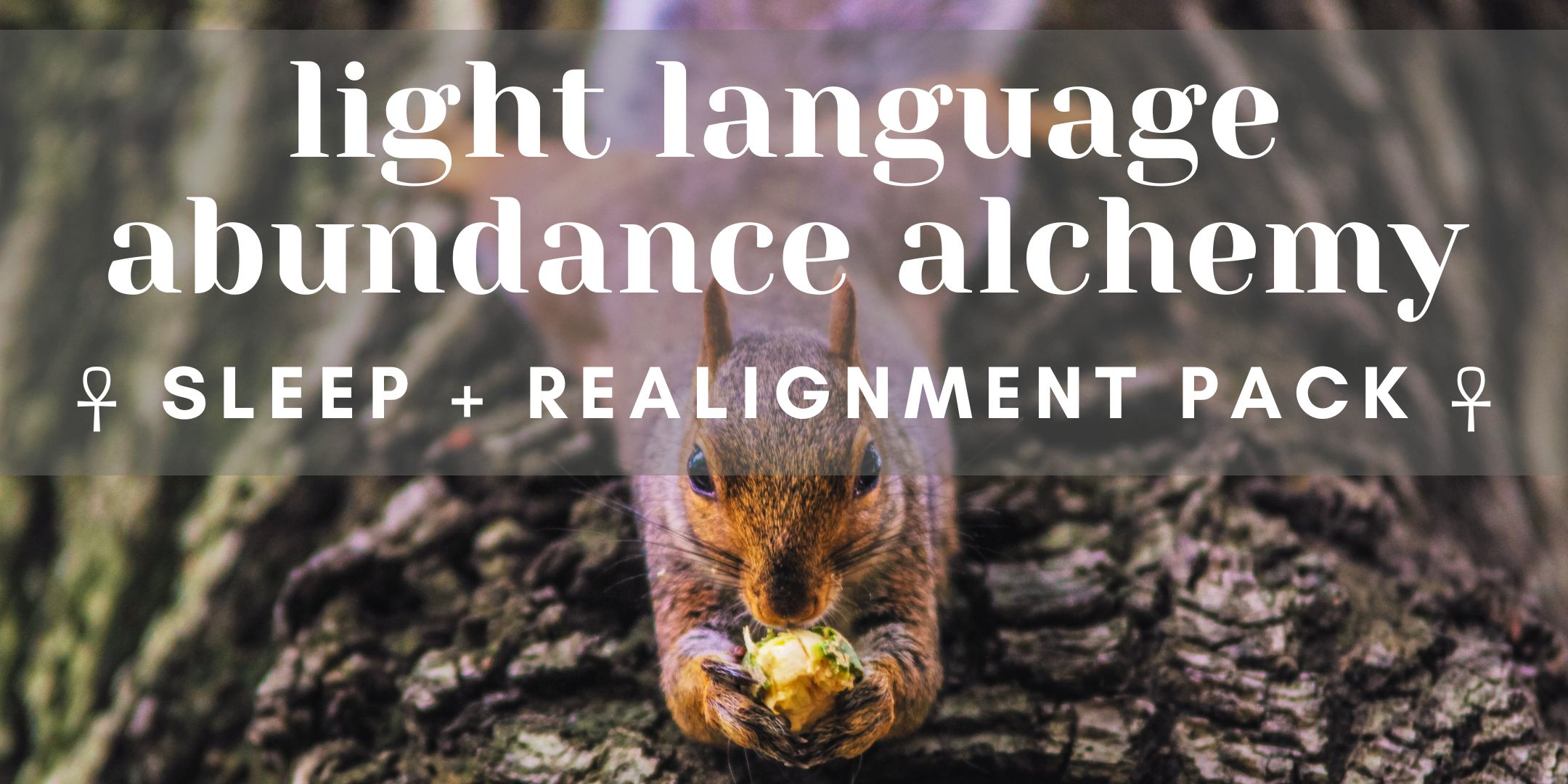 Light Language Abundance Alchemy : Sleep + Realignment Pack