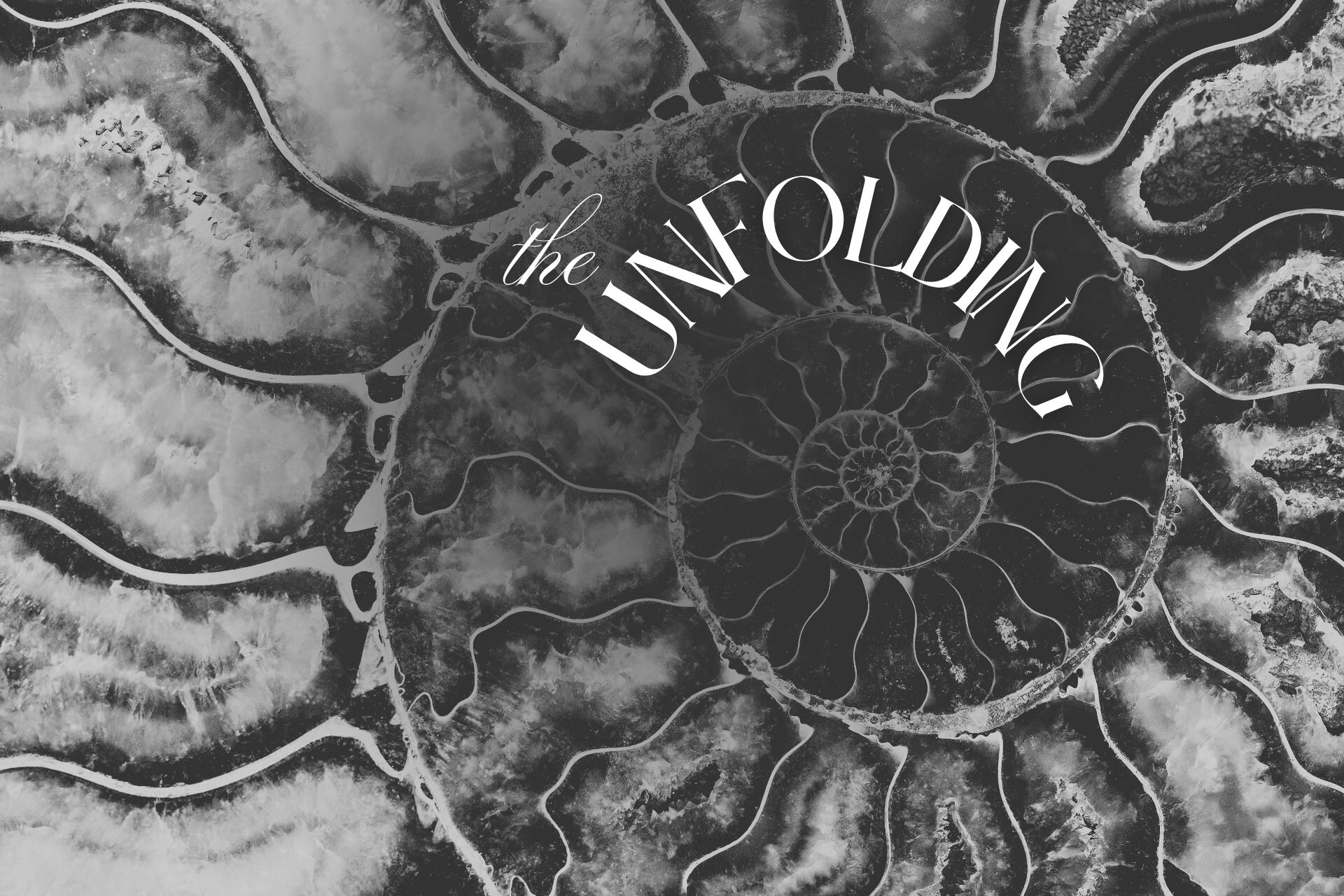Black and white ammonite fossil spiral symbol representing The Unfolding Online Membership for spiritual growth, healing ceremonies and transformation